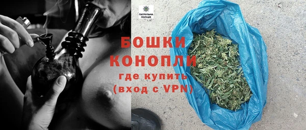 ПСИЛОЦИБИНОВЫЕ ГРИБЫ Иннополис